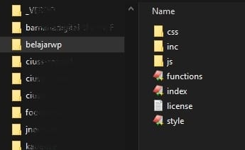Seri Belajar WordPress - Membuat Tema Dari Awal - Struktur Folder
