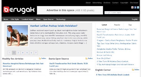WordPress Berugak News