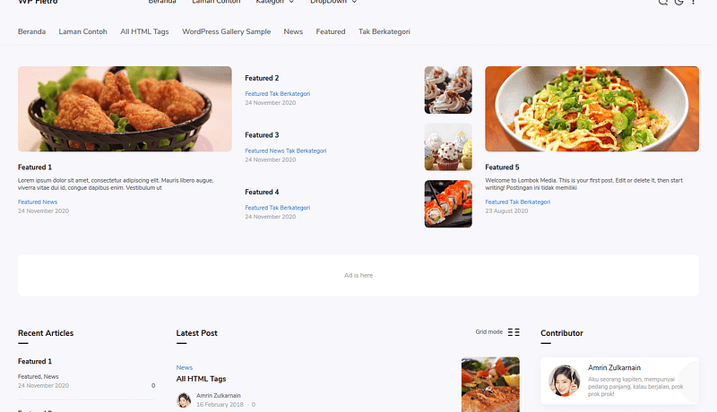 Jasa Pembuatan Tema WordPress WP Fletro