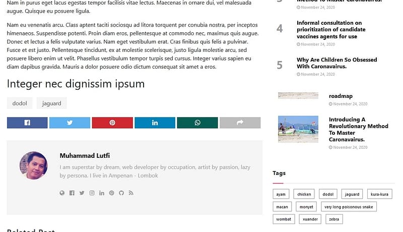 rinjani news single post with author box and share