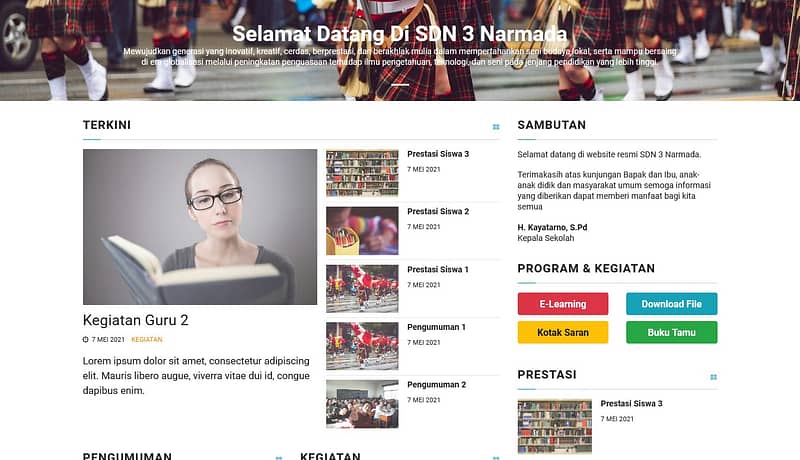 jasa pembuatan website sekolah sdn 3 narmada