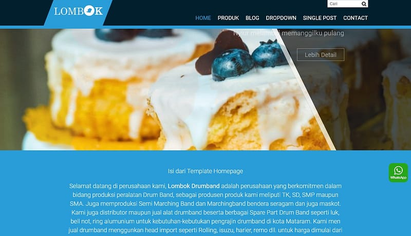jasa pembuatan toko online - tema katalog home blue
